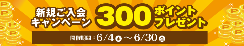 
300ポイント